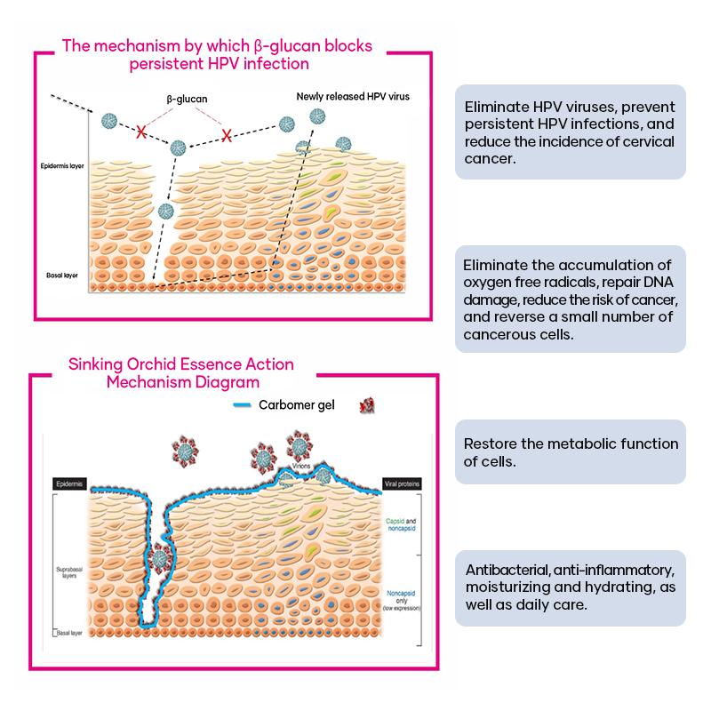 Medical Gynecological Gel