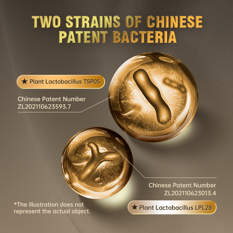 Promotes Alcohol Metabolism Probiotic Complex Relieves Gastrointestinal